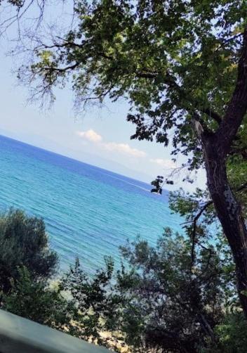 Endless Blue Garden * Palaiontsiflikion
